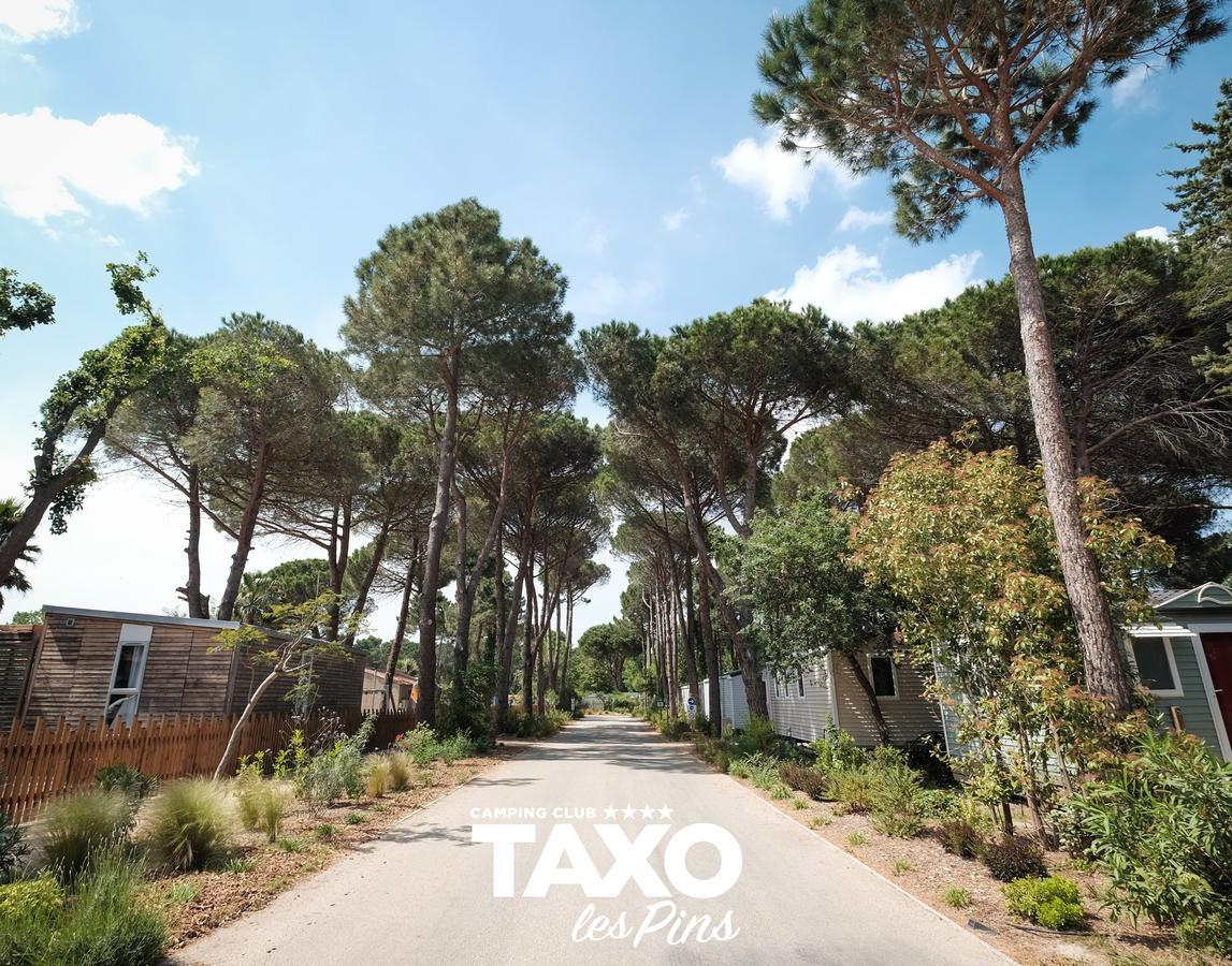 Camping Taxo Les Pins Аржель-сюр-Мер Экстерьер фото